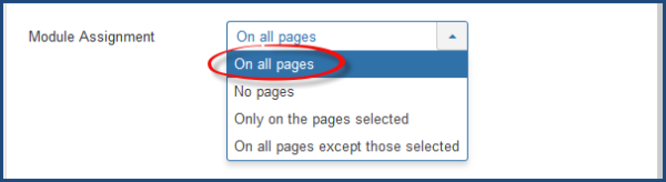 module-assignment-on-all-pages