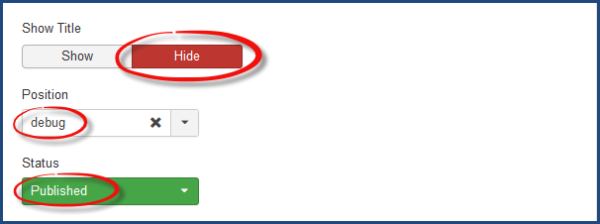 module-hide-title-published-on-debug-position